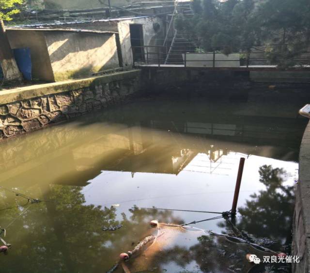 吉林省確定2022年?yáng)|遼河流域治理重點(diǎn)任務(wù)