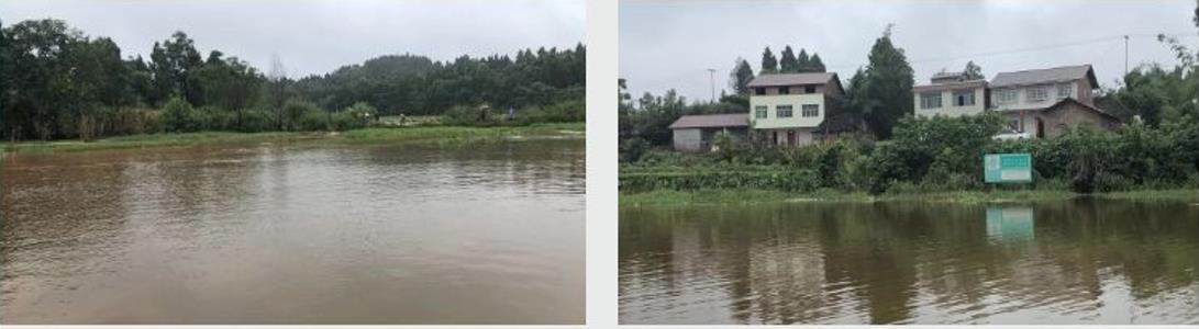 四川資陽市雁江區(qū)滴水巖水庫水體修復(fù)技術(shù)服務(wù)項目