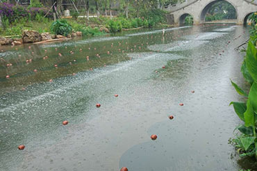 景觀水體消除黑臭-廣東省東莞厚街鳳山公園內河涌