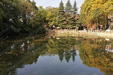 景觀水體水質(zhì)提升-貴州省貴陽市花溪板橋藝術村#水塘