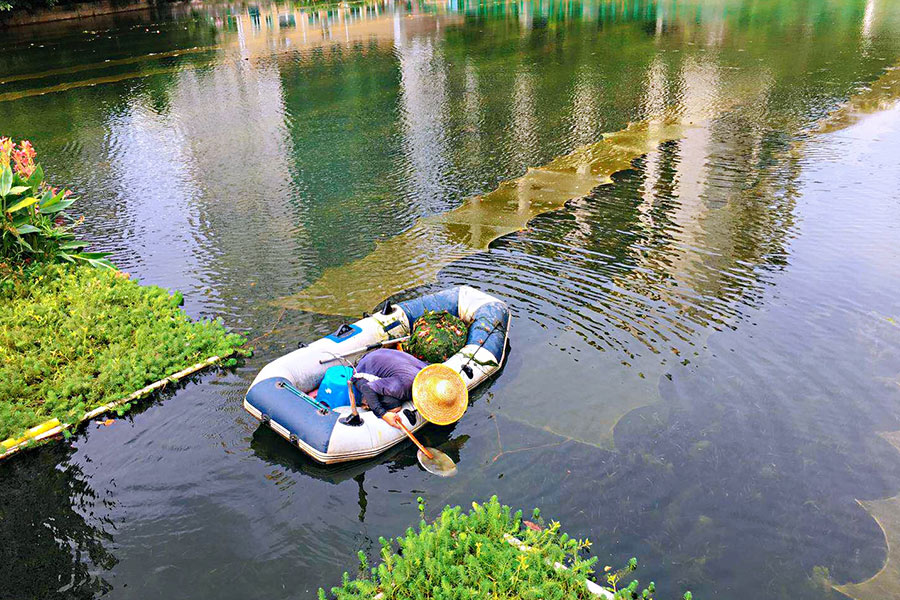 廣東省深圳市辛養(yǎng)魚塘-<a href=http://m.takfung.cn target=_blank class=infotextkey>水生態(tài)修復(fù)</a>示范項(xiàng)目