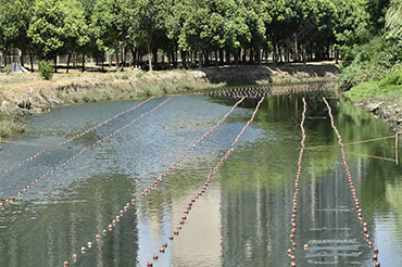 截污河道水質提升-江蘇省昆山市九里涇