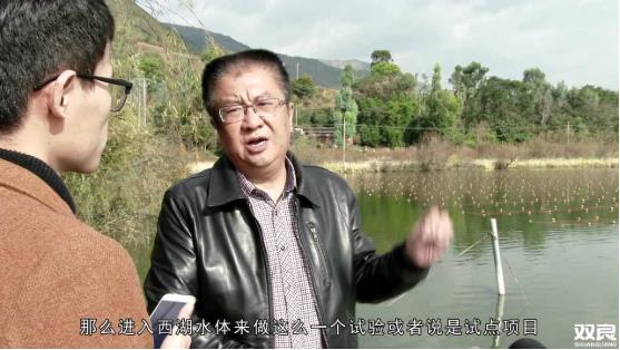 洱源西湖<a href=http://m.takfung.cn target=_blank class=infotextkey>水環(huán)境治理</a><a href=http://m.takfung.cn/hp/ target=_blank class=infotextkey>湖泊修復(fù)</a>碧水藍天