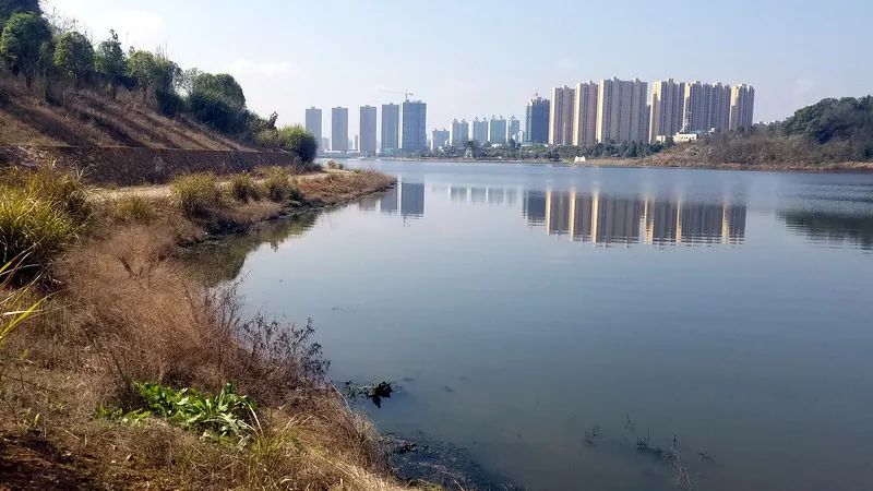長興湖水<a href=http://m.takfung.cn target=_blank class=infotextkey>水環(huán)境治理</a>