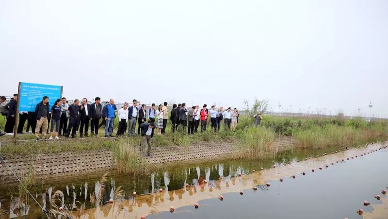 中國第一大城市飲用水<a href=http://m.takfung.cn/yysyd/ target=_blank class=infotextkey>水源地治理</a>技術(shù)突破