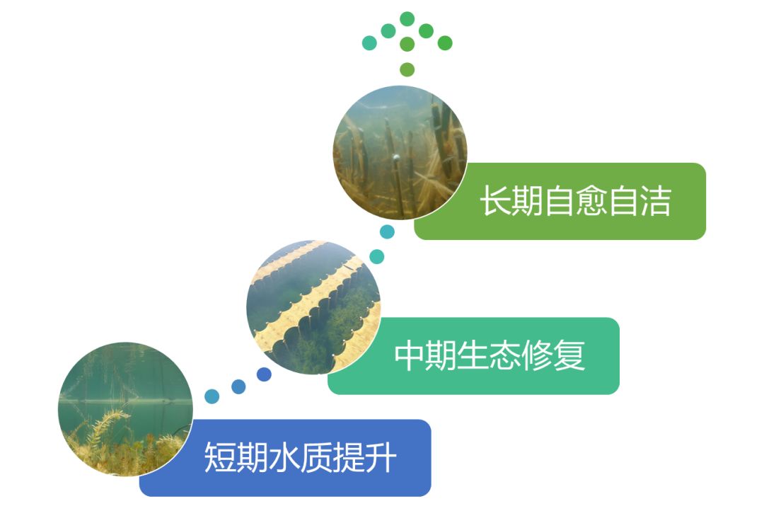 2020<a href=http://m.takfung.cn target=_blank class=infotextkey><a href=http://m.takfung.cn target=_blank class=infotextkey>雙良</a>環(huán)境</a>春招開啟
