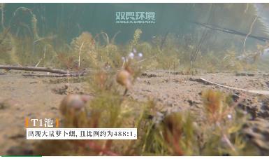 保護(hù)生物多樣性雙良環(huán)境在行動(dòng)！