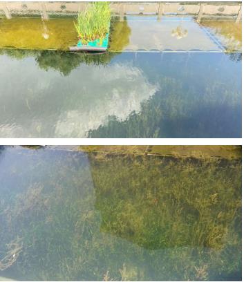 加快推進水環(huán)境治理領域減碳、替碳、固碳
