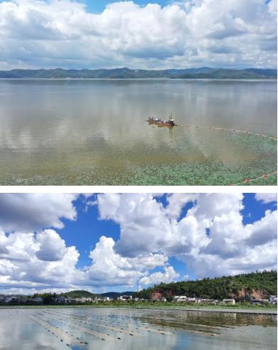 河湖生態(tài)緩沖帶保護修復技術指南