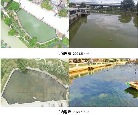 就路東溝河道整治工作召開現(xiàn)場(chǎng)會(huì)