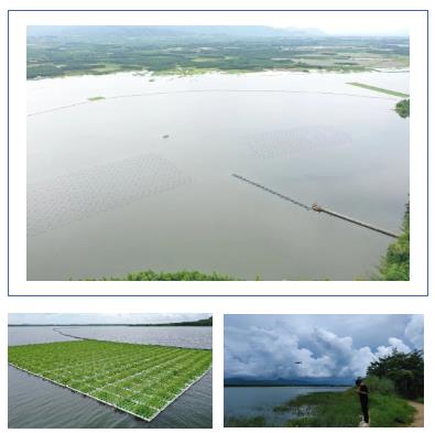 長沙市后湖：徹底消除黑臭，實現(xiàn)“長治久清”