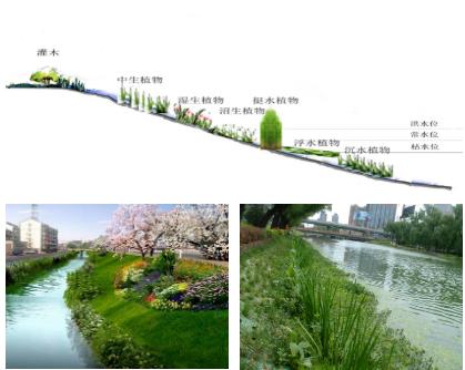 大面積黑臭水體（水塘、水渠、水庫等）特別是養(yǎng)殖廢水，如何在短時(shí)間快速進(jìn)行治理？達(dá)標(biāo)農(nóng)灌水或排放標(biāo)準(zhǔn)？