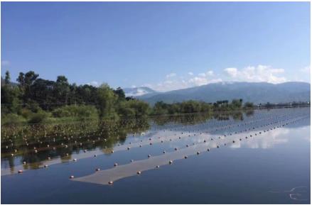 湖北“黑科技”將湖泊水庫污水就地變清流，雙良值得推廣