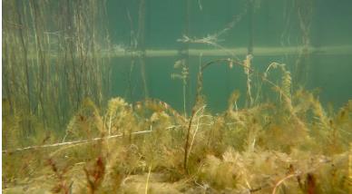 “為全球生物多樣性治理指明了方向”——訪《生物多樣性公約》第十五次締約方大會(huì)主席、中國生態(tài)環(huán)境部部長黃潤秋（人民日報(bào)）